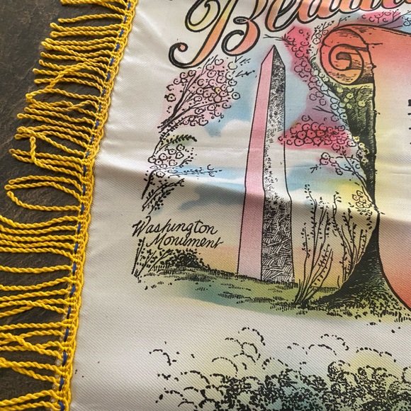 1950’s Fringed Satin Pillow Case “Beautiful Washington” - Picture 7 of 8